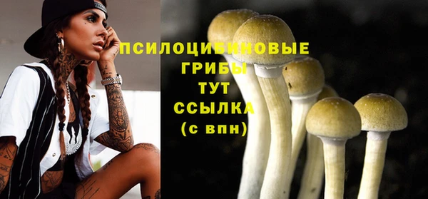 бутират Алексеевка