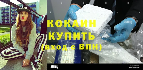 твердый Алексин