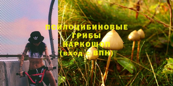 бутират Алексеевка